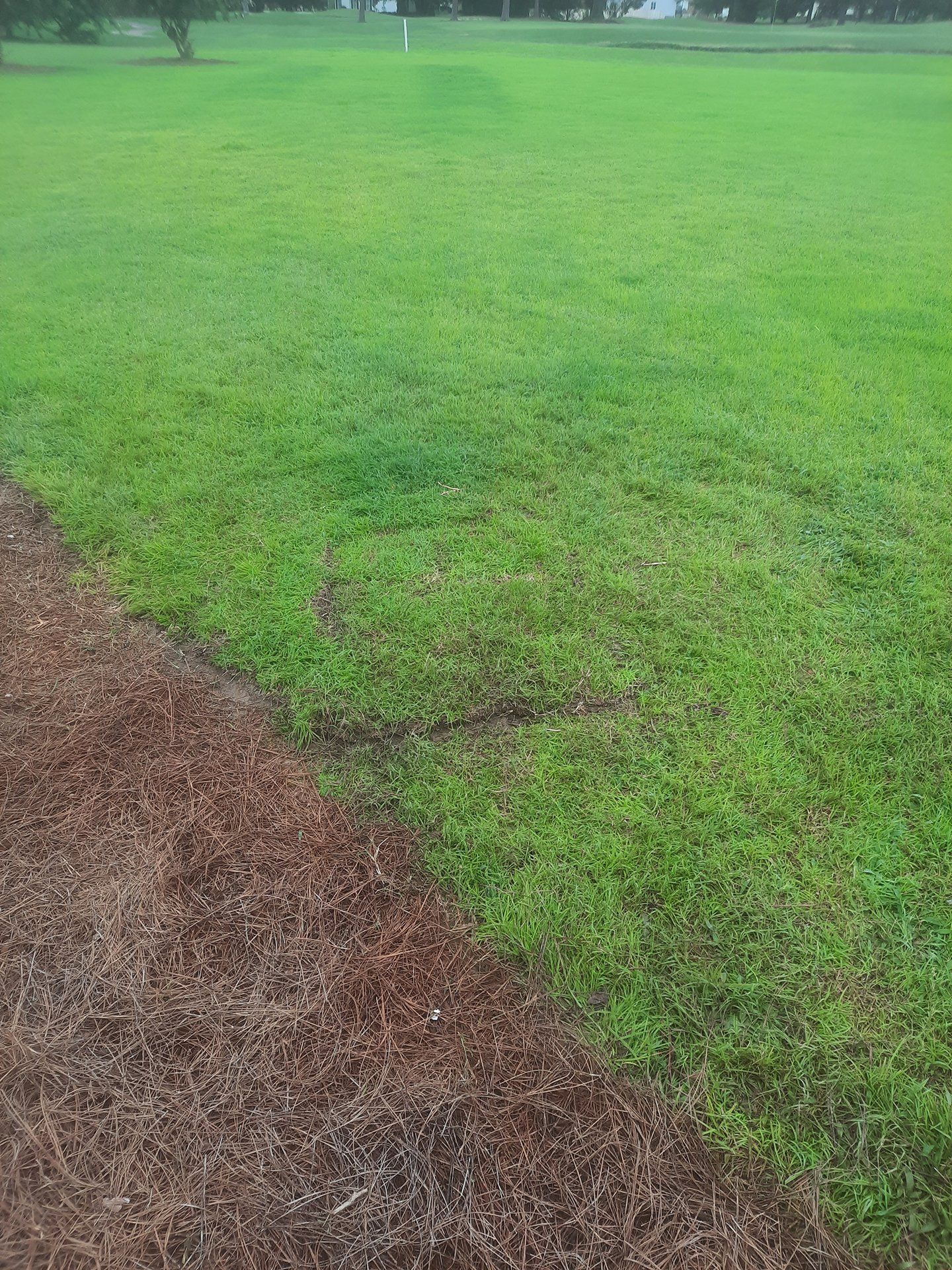 septic tank installation