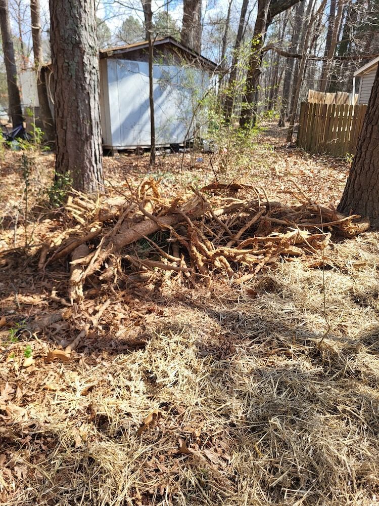 Pile of branches and yard debris in a wooded backyard beside a small shed