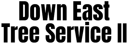 The logo for Down East Tree Service ii is black and white.