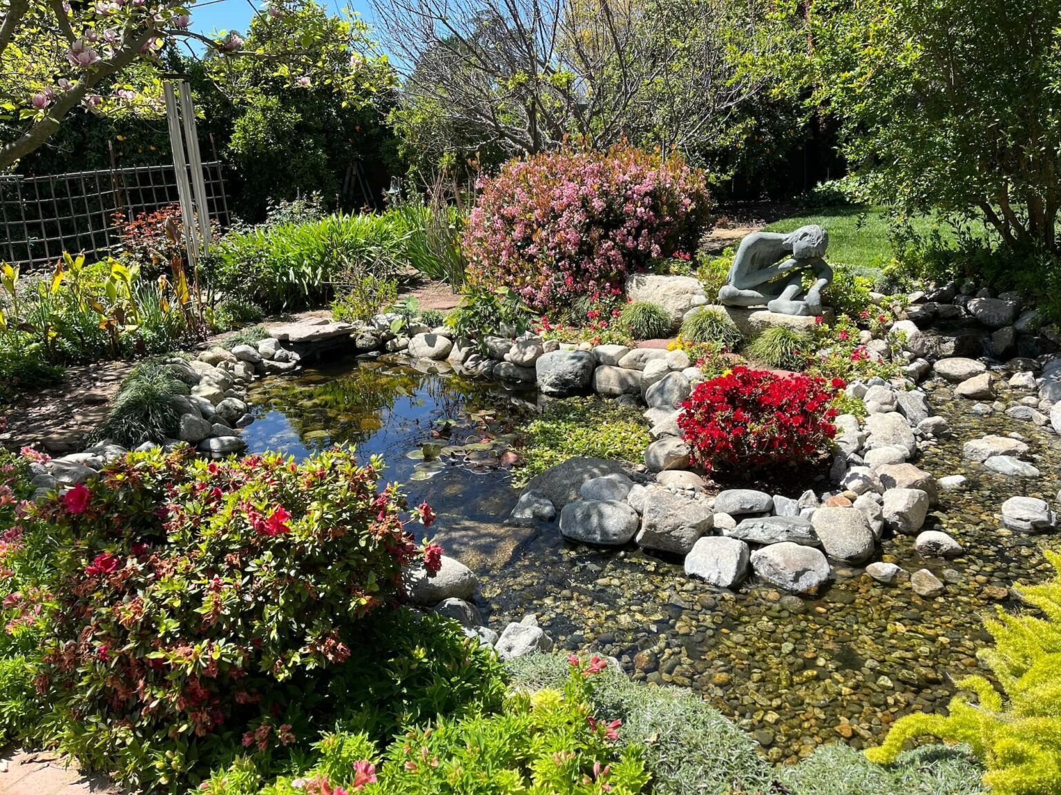 A pond surrounded by rocks, colorful plants, and bushes under a bright, sunny sky.