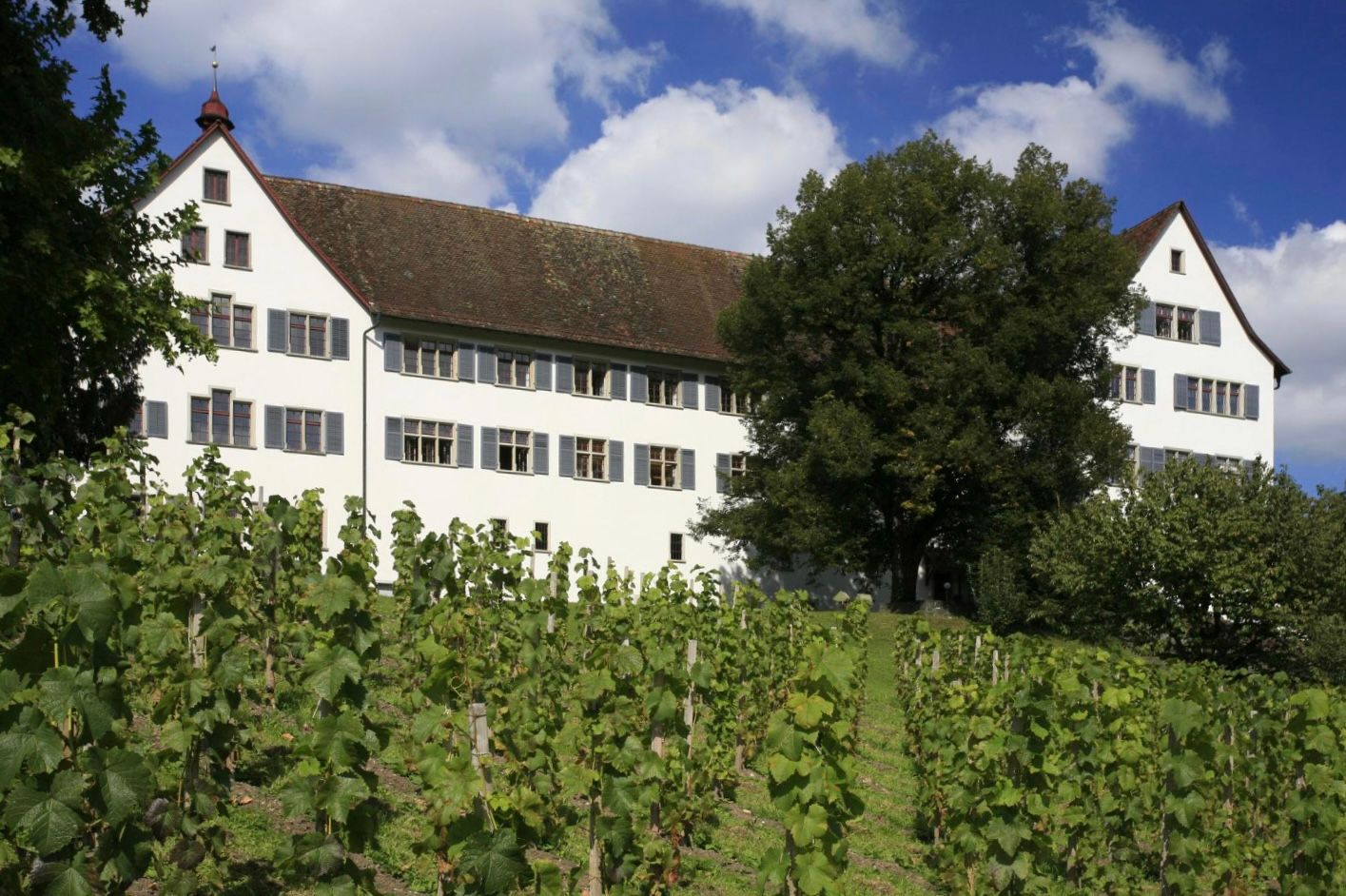 Warum wurde das Fachwerk lange Zeit verputzt?
