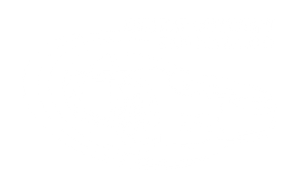 LOGO - CENTRO REVISIONI SAN NAZARIO