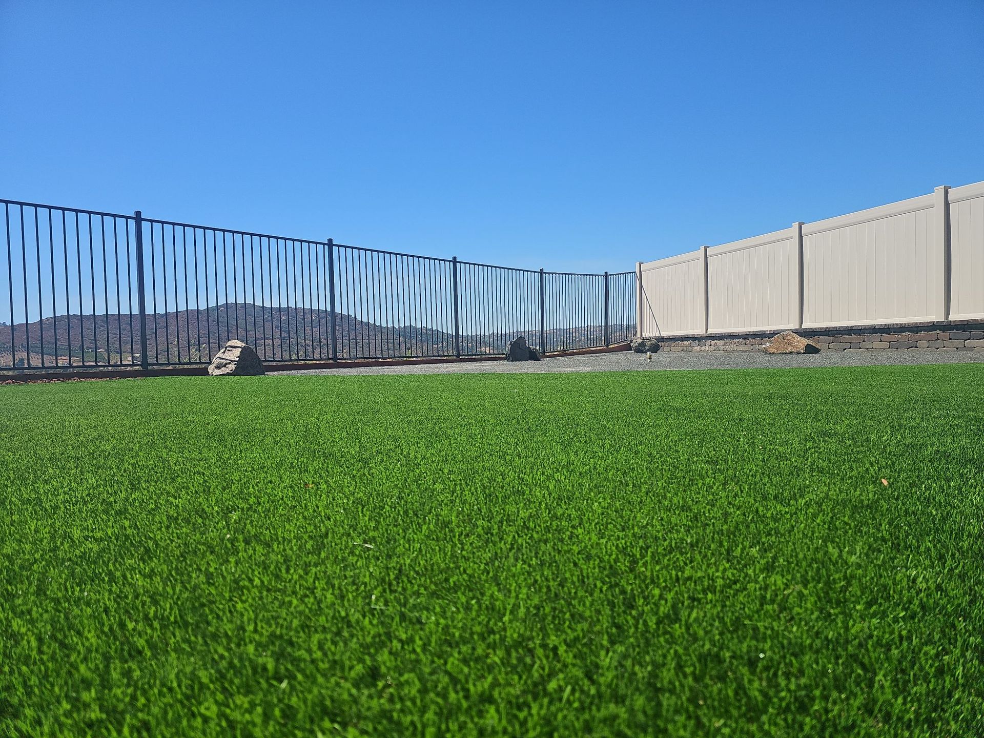 Lush green artificial grass with two fences: black metal and white. Clear blue sky in the background.