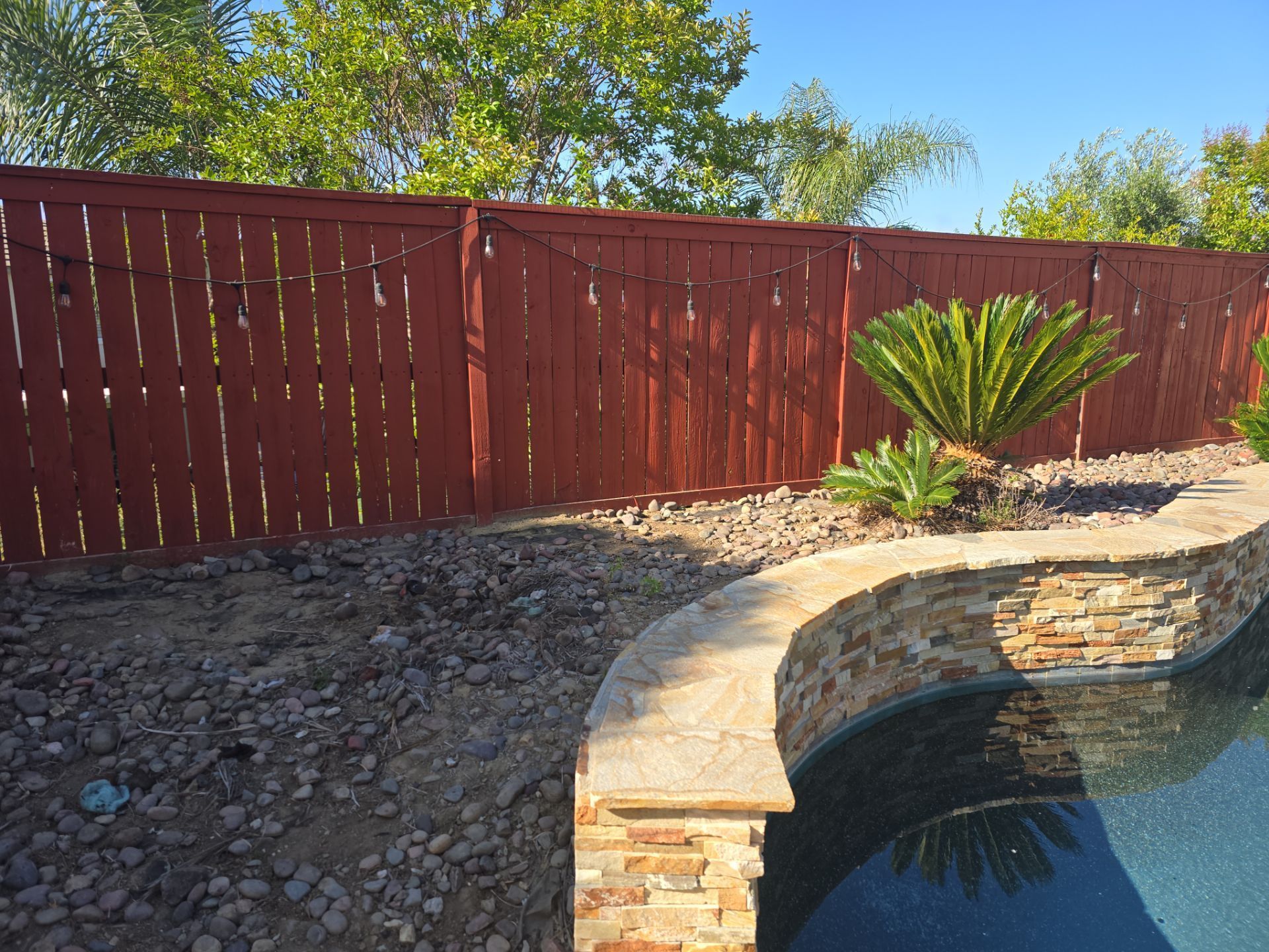 Red wooden fence bordering a stone-edged pool. A small palm tree grows nearby.