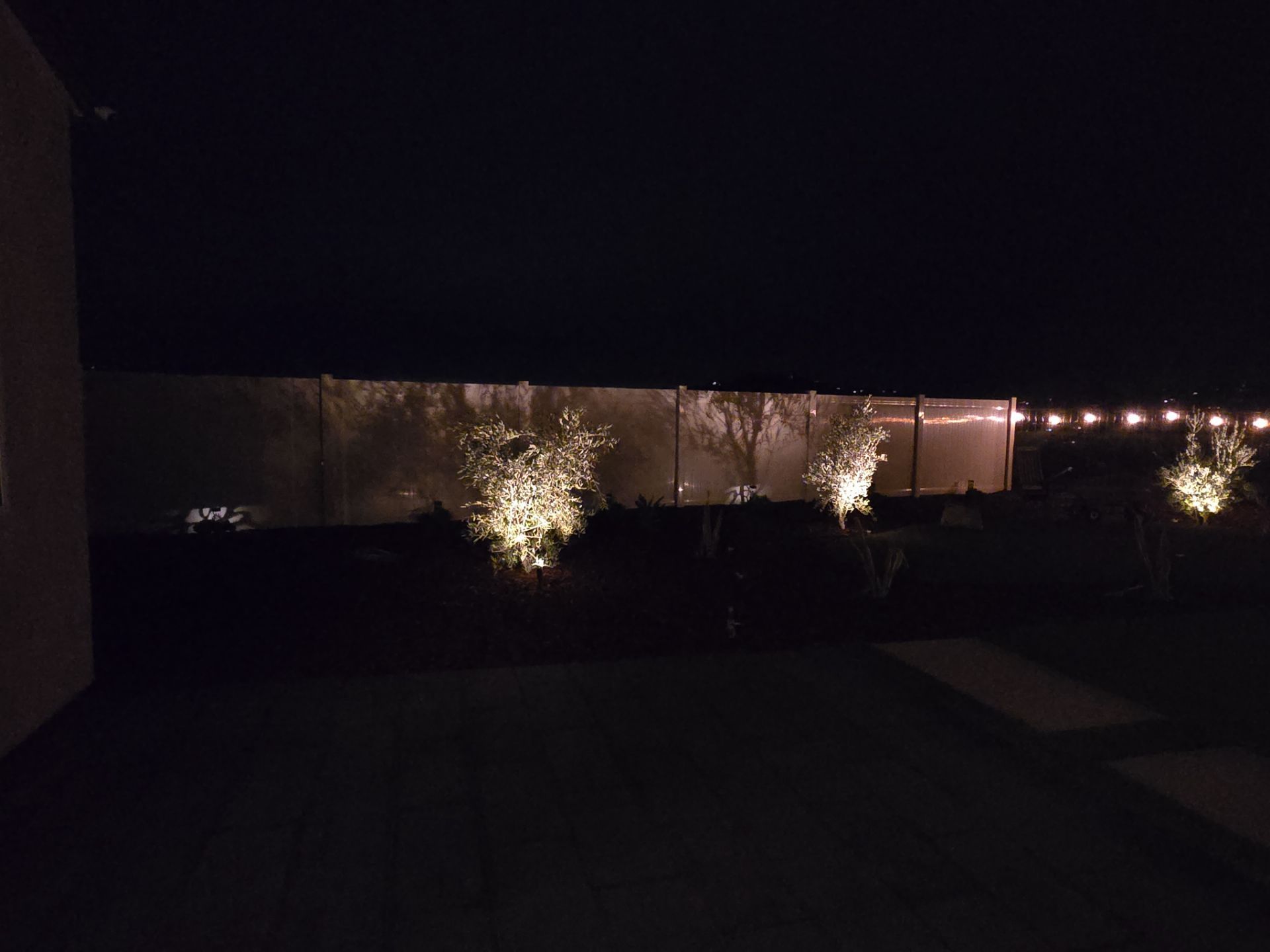 Nighttime backyard scene with illuminated trees and fence, string lights visible in the distance.
