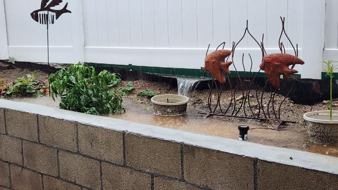 Water feature overflowing into a flooded garden bed. A decorative fish weathervane is visible.