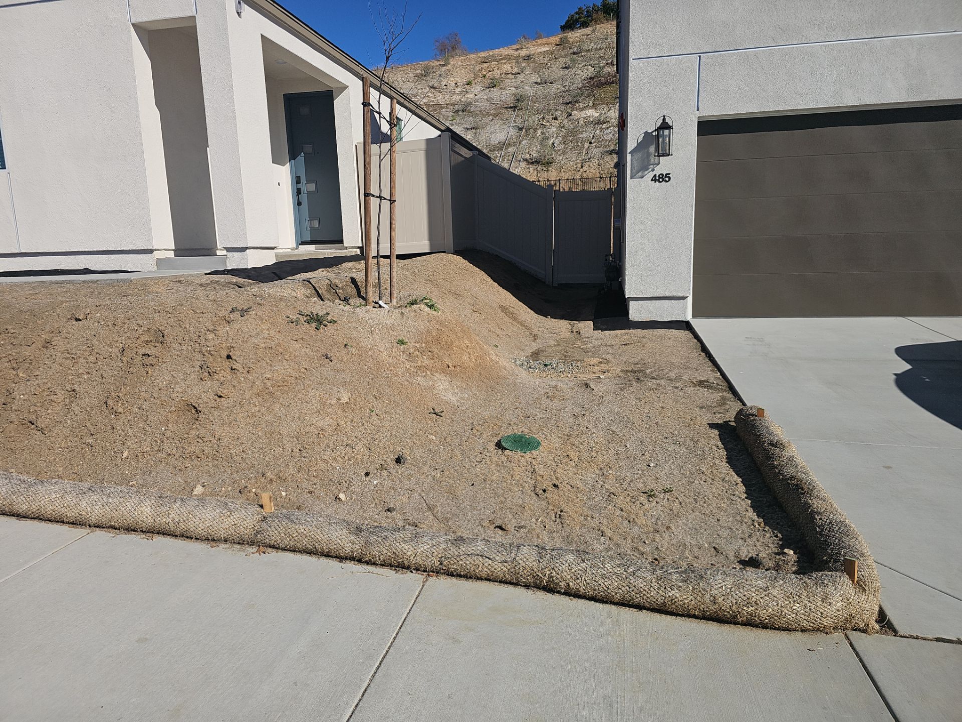 Front yard of a house with dry straw ground cover, a young tree, and a concrete driveway.