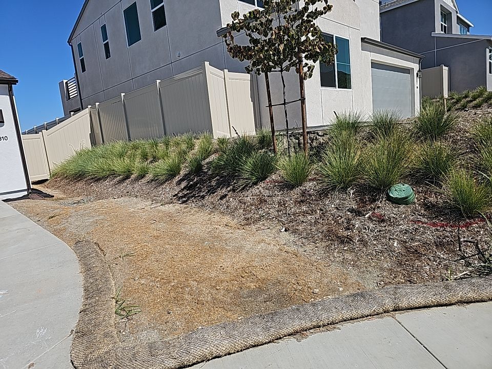 A sloping, dirt yard with grass and a beige fence, next to a sidewalk and a two-story beige house.