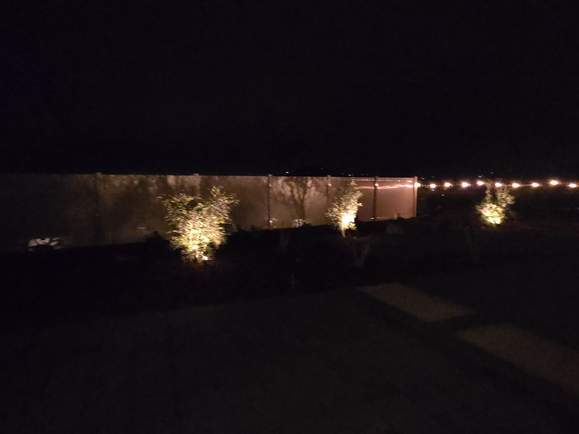 Night scene with illuminated bushes and a fence, with string lights in the distance.