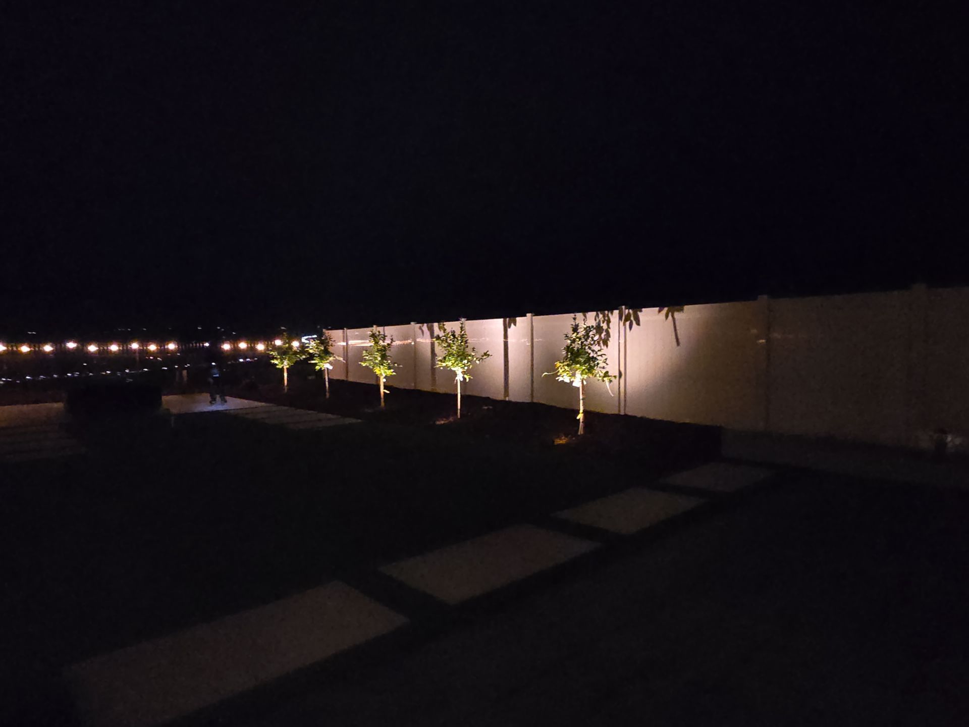 Nighttime outdoor scene with illuminated trees along a wall, dark foreground, and string lights in the distance.