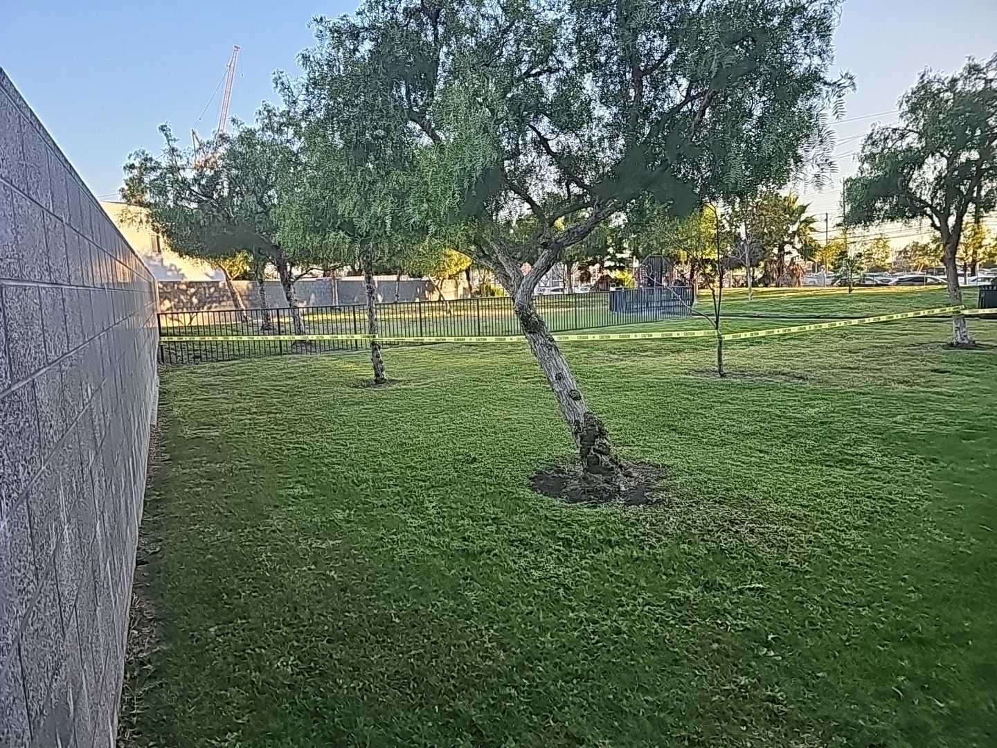Green park with grass, trees, and a stone wall under a blue sky.