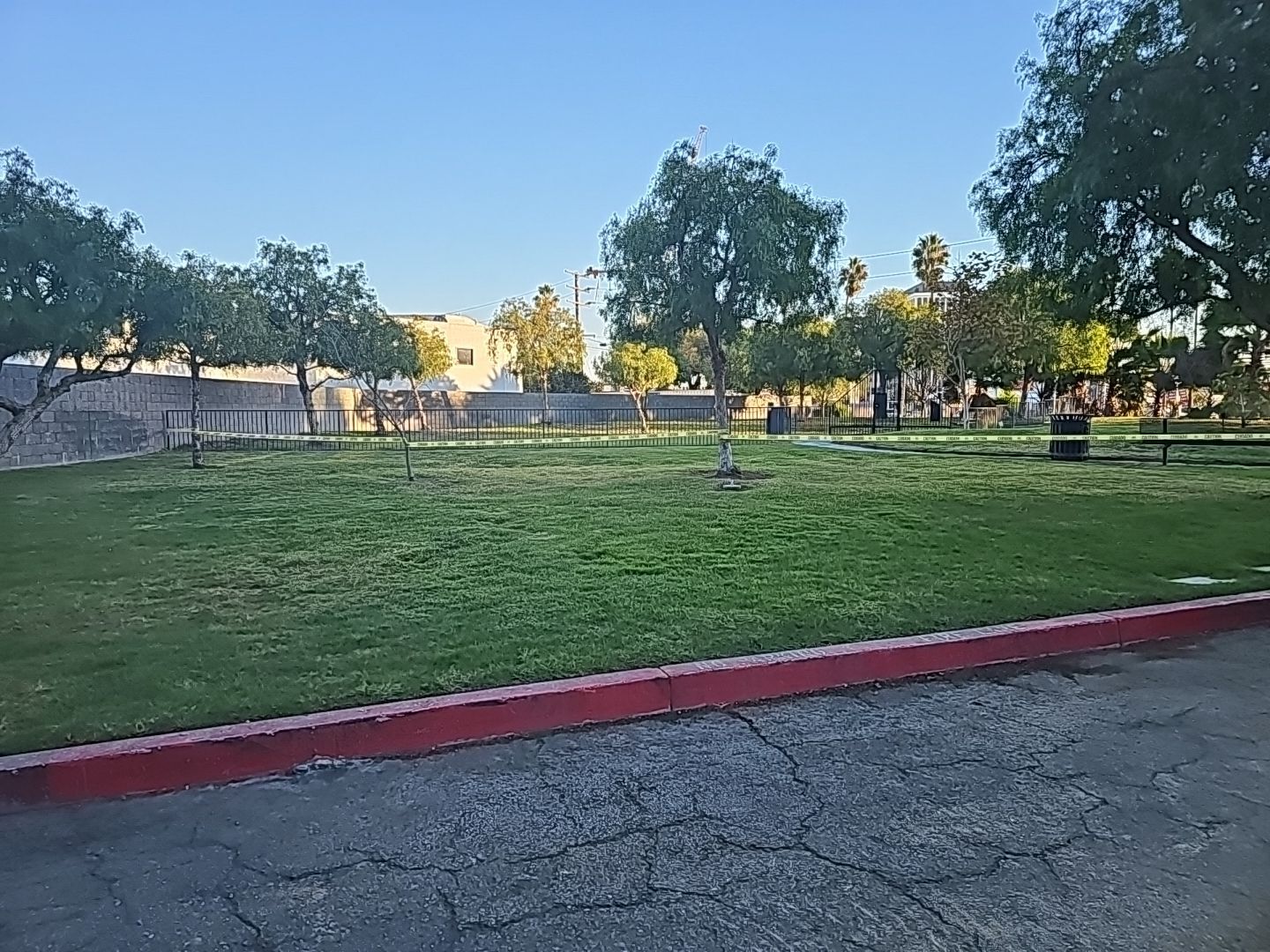 Grassy park with trees under a blue sky. Red curb in foreground.