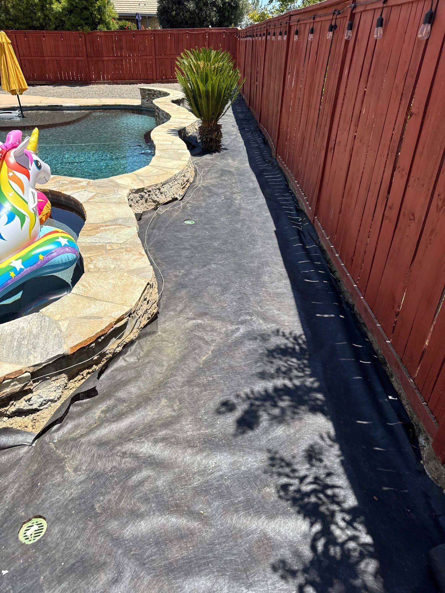 Backyard view: pool with inflatable, black ground cover along a red wooden fence, and a small palm tree.