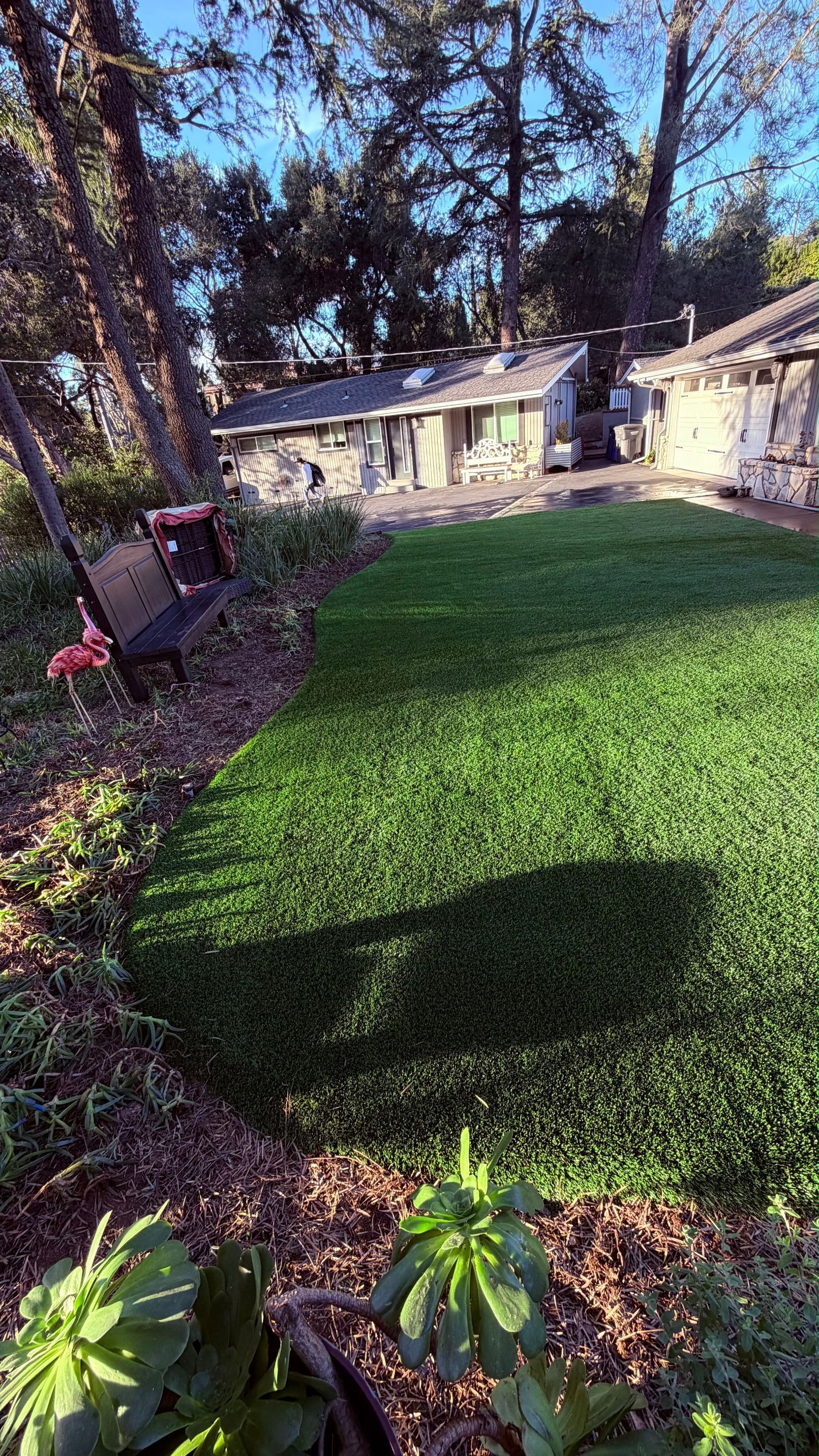 Backyard scene with lush green ground cover, swing set, and a small house in the background. Sunny day.