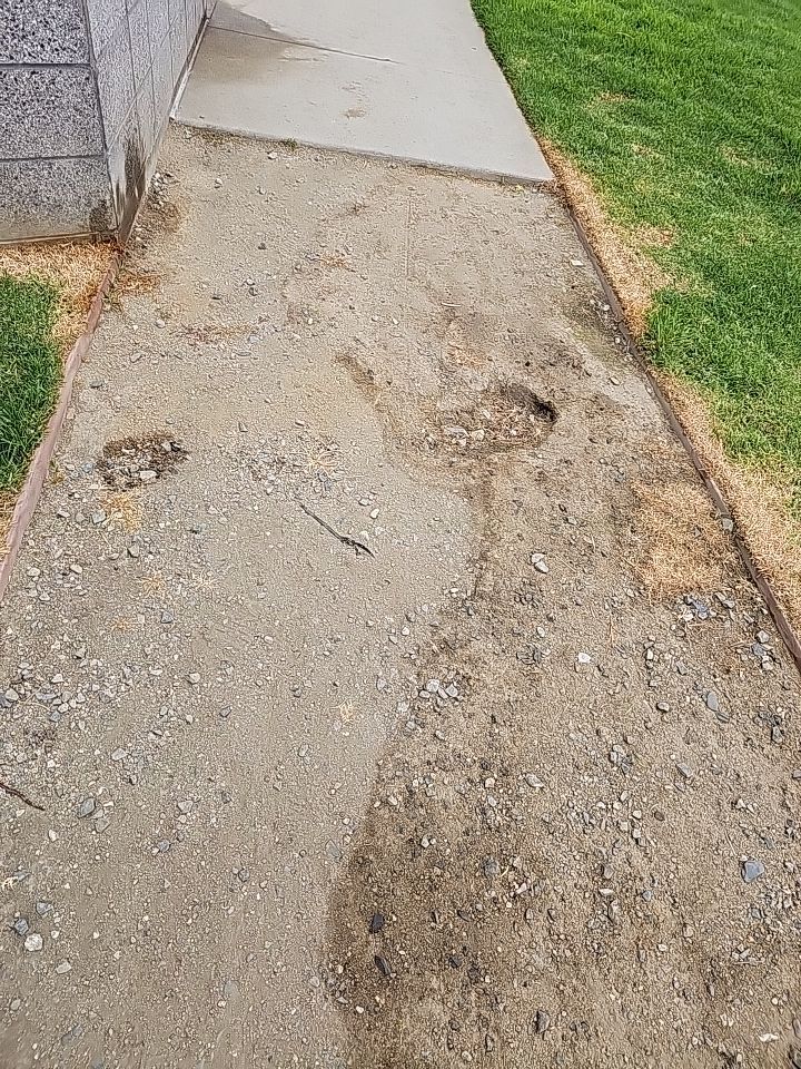 Dirt path with two holes and a concrete sidewalk adjacent to grass and a building.
