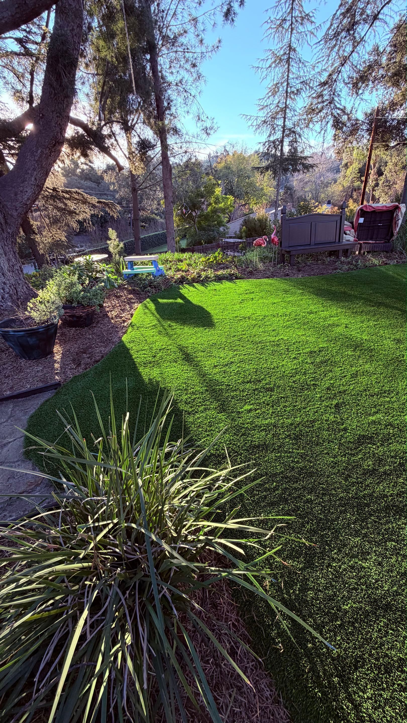 Lush green lawn in a sunny yard with trees and a shadowed area.