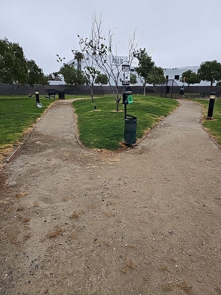 Gravel paths diverge in a park. Trees and buildings are visible in the background, along with trash cans and a dog waste bag dispenser.