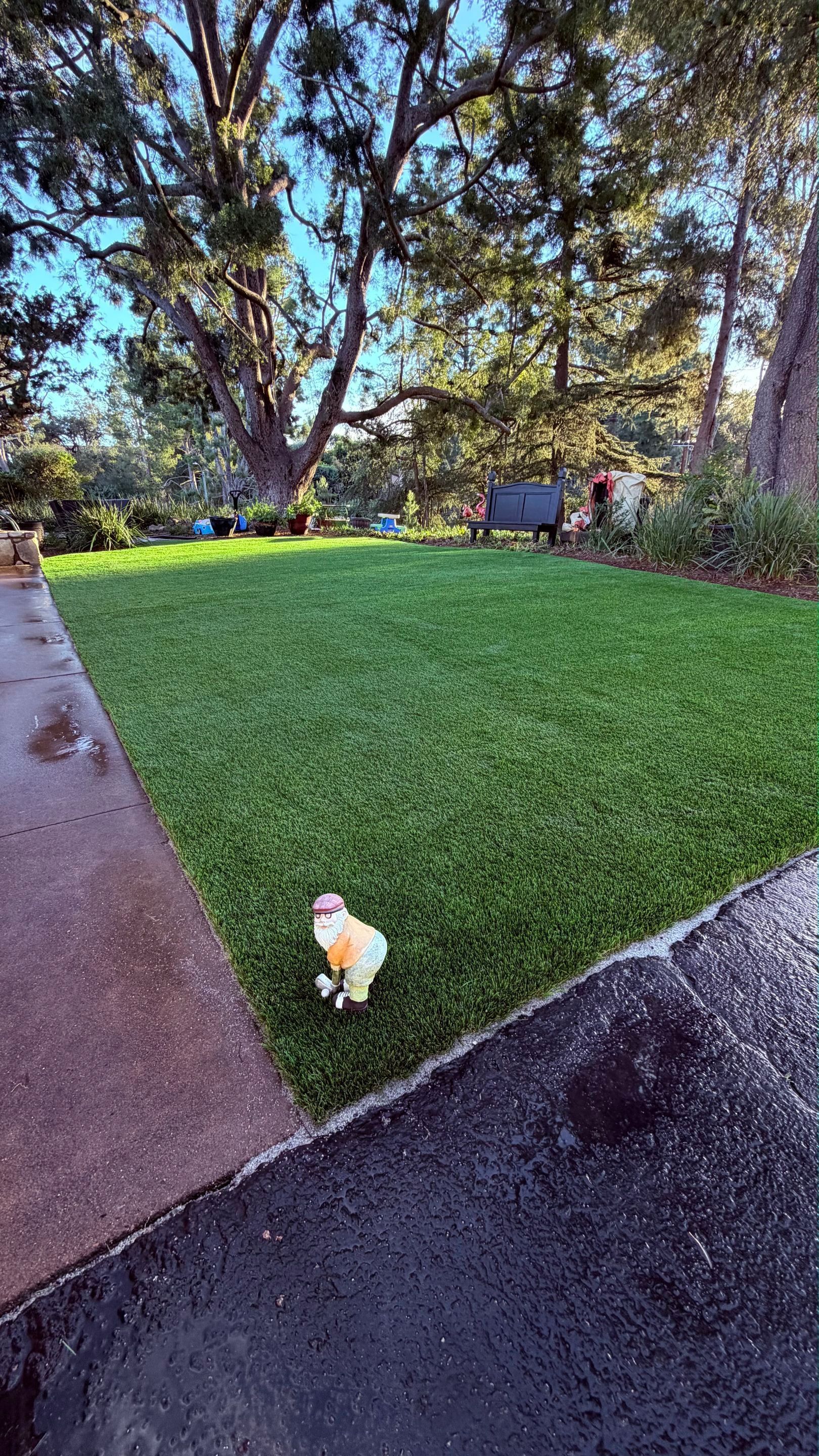 Small dog on green turf next to sidewalk in park with bench and trees.