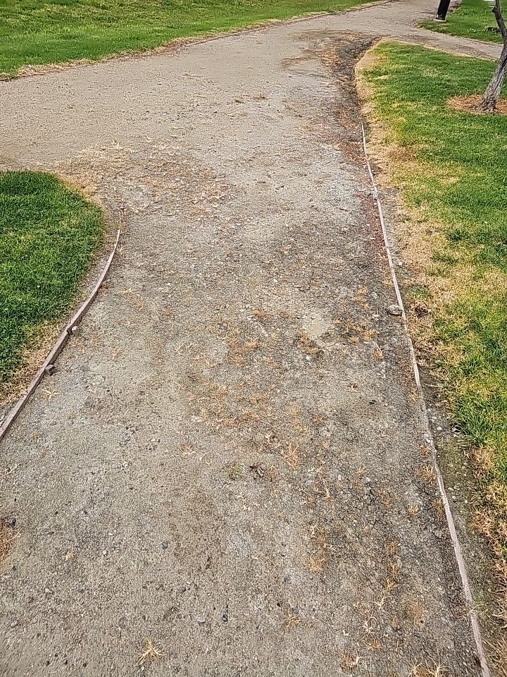 Gravel path curving through grassy park.