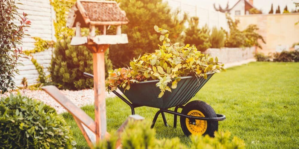 Clean Up and Tidy Your Garden