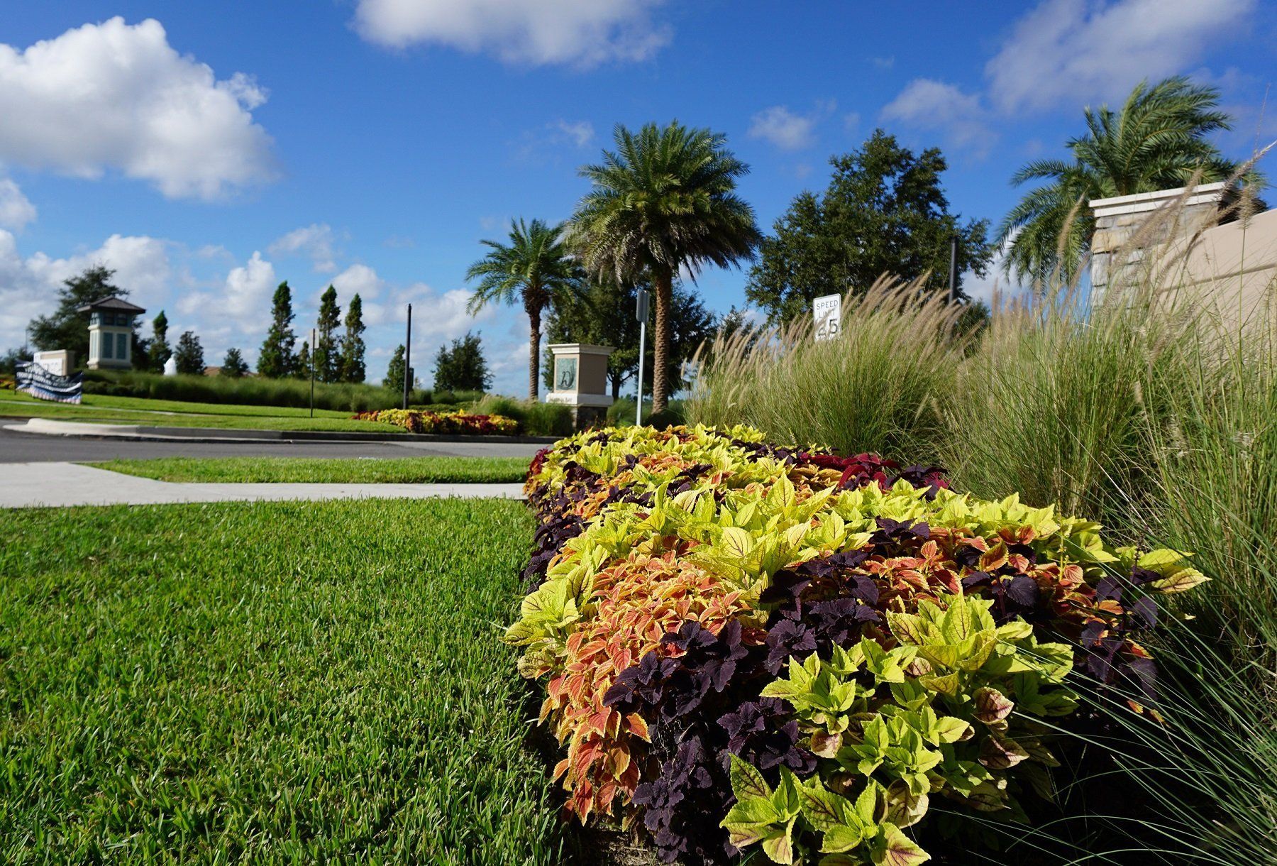 Commercial Maintenance in San Marcos, CA