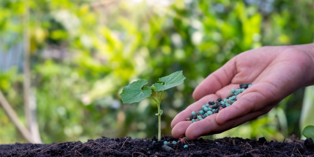 Fertilization and Soil Amendments