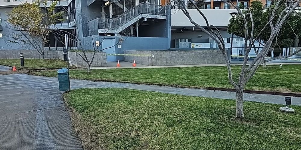 Fix Yellow Grass Problems