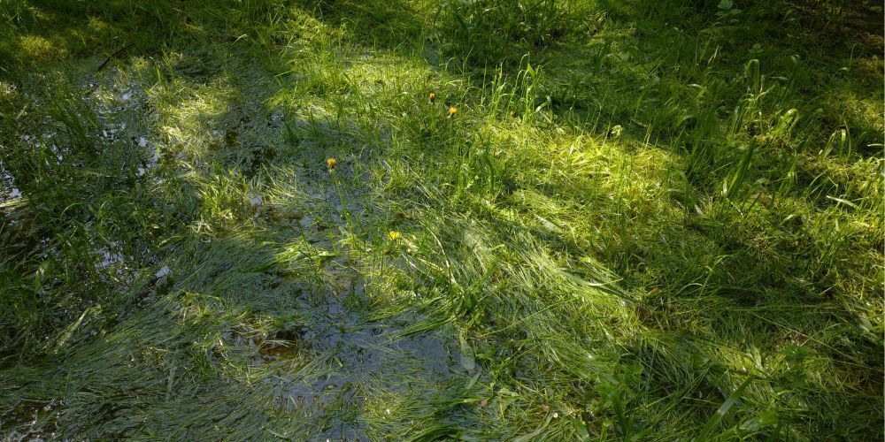 Improve Your Property's Drainage