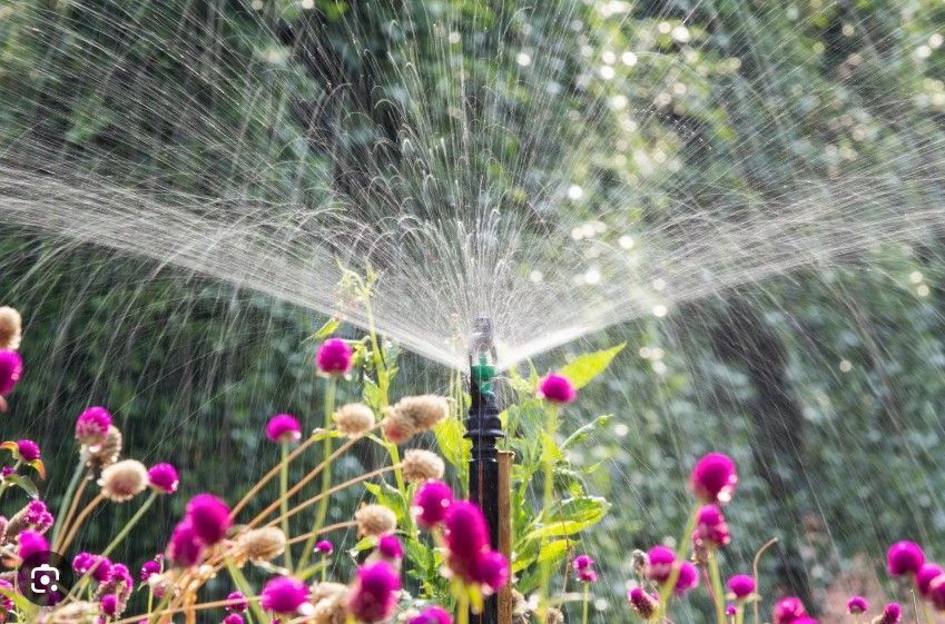 Watering In Garden