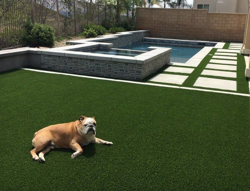Pet Friendly Synthetic Turf Lawns