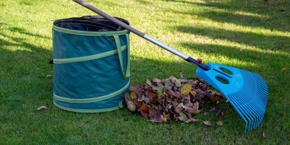 Raking and Leaf Removal