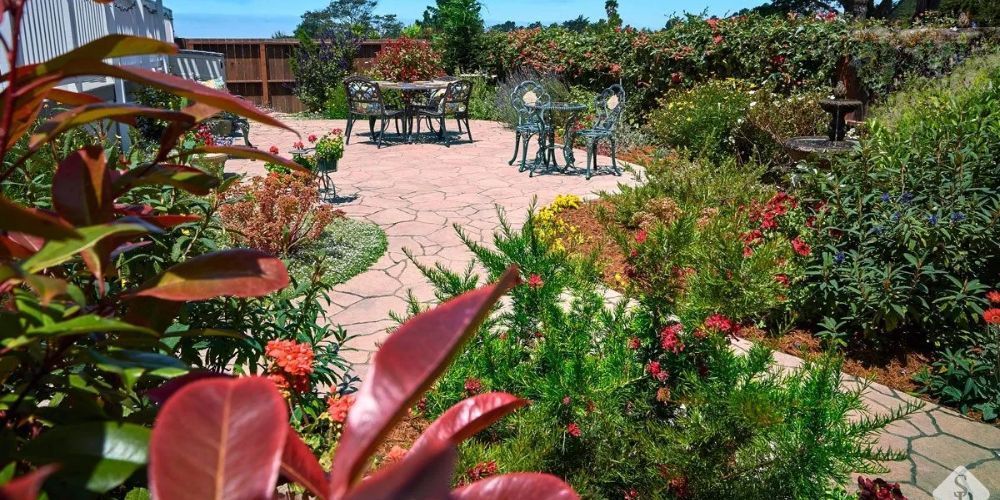 Keep your Southern California lawn healthy all year round with expert seasonal care. Find watering t