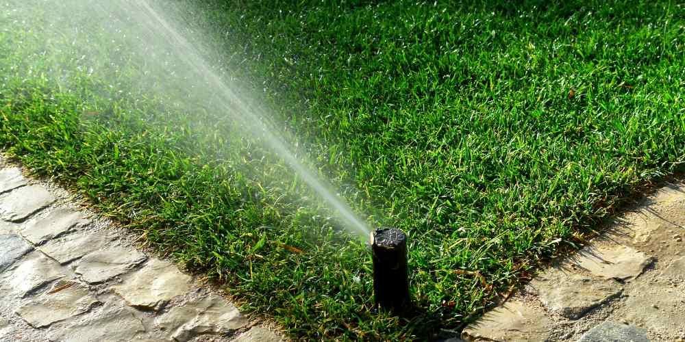 Role of Irrigation in Landscape Gardening