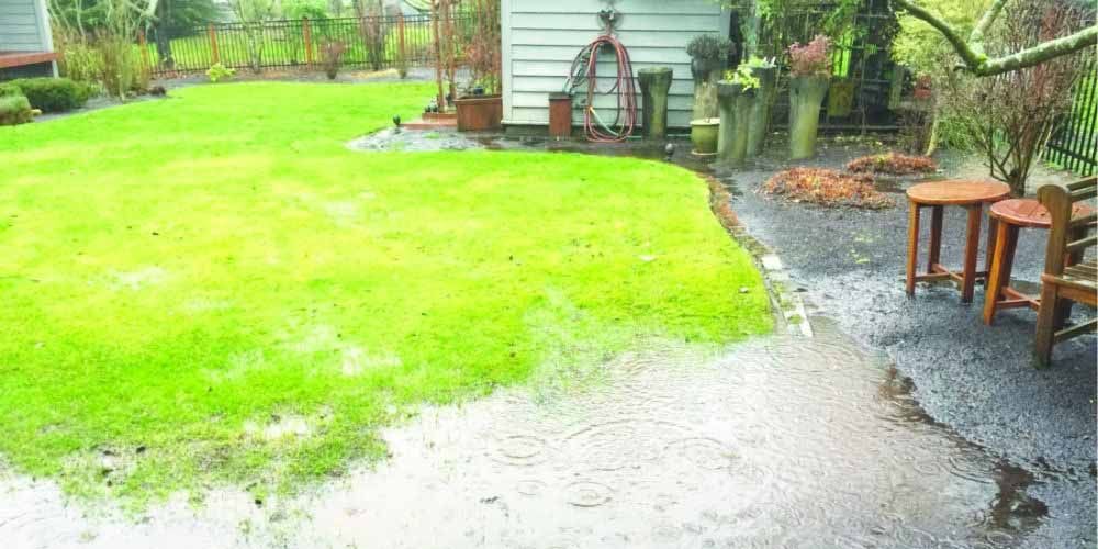 Understanding Common Yard Drainage Issues and Solutions