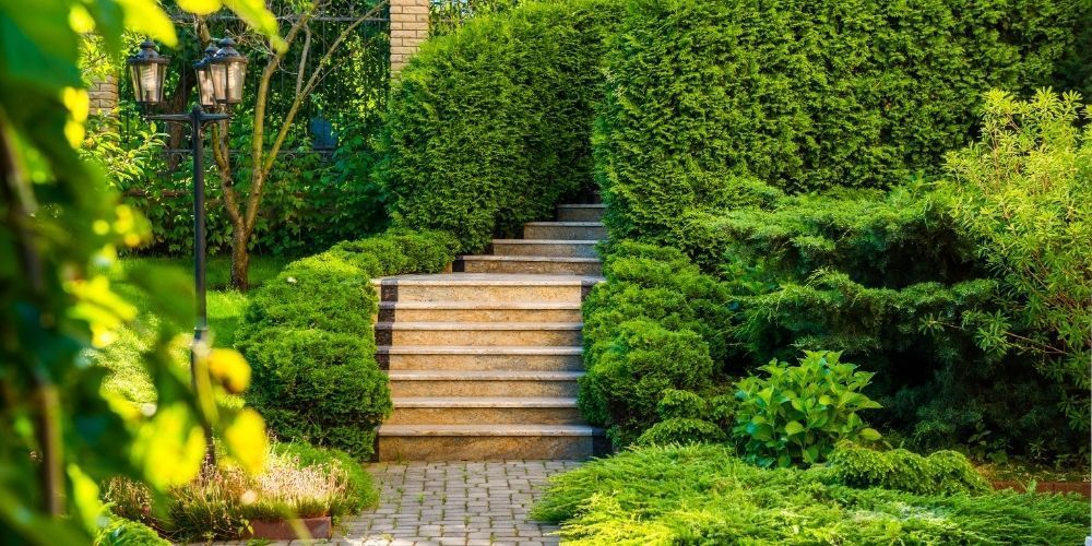 Why is Balance Important in Landscape Design?