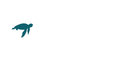 Tour Z Logo white and teal