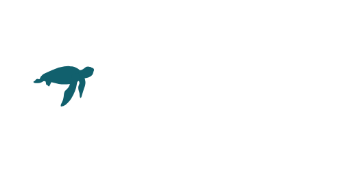 Tour Z Logo white and teal