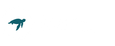Tour Z long logo