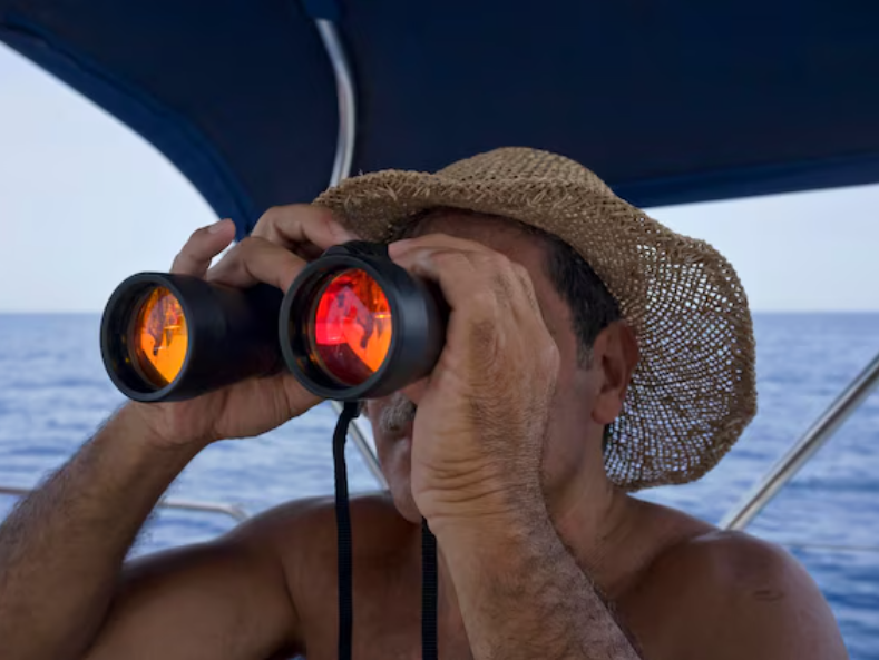 Whale shark swimming tour puerto princesa