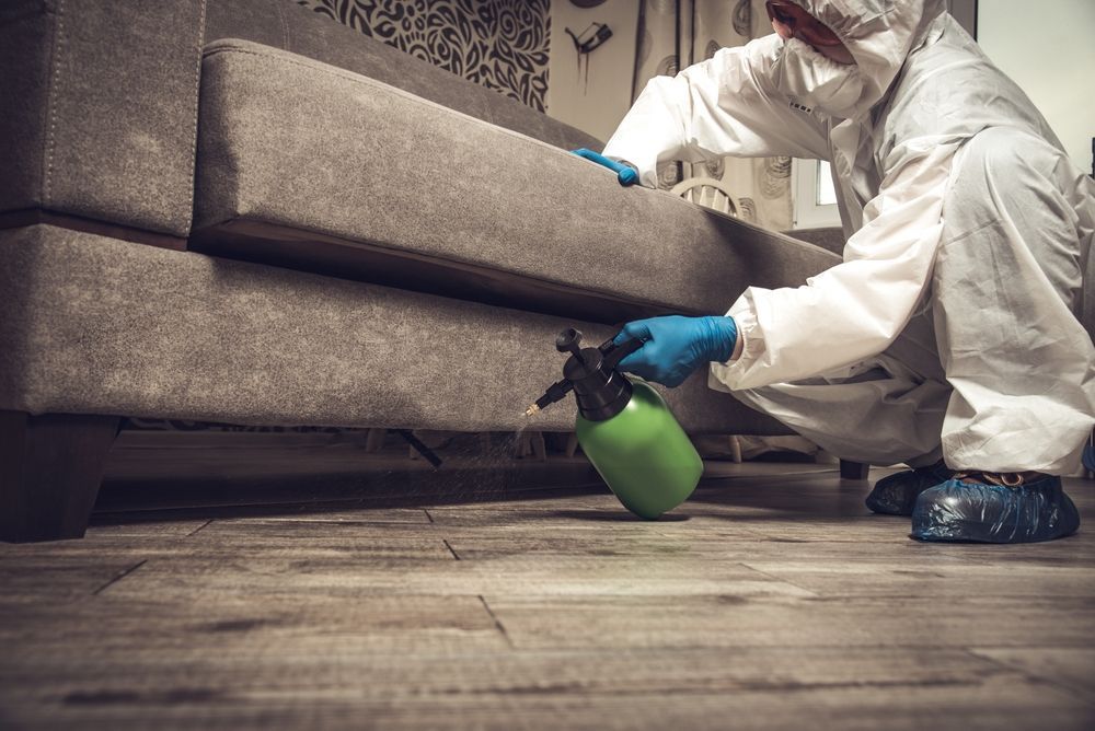 Person in protective suit spraying disinfectant under a gray couch with a green sprayer.