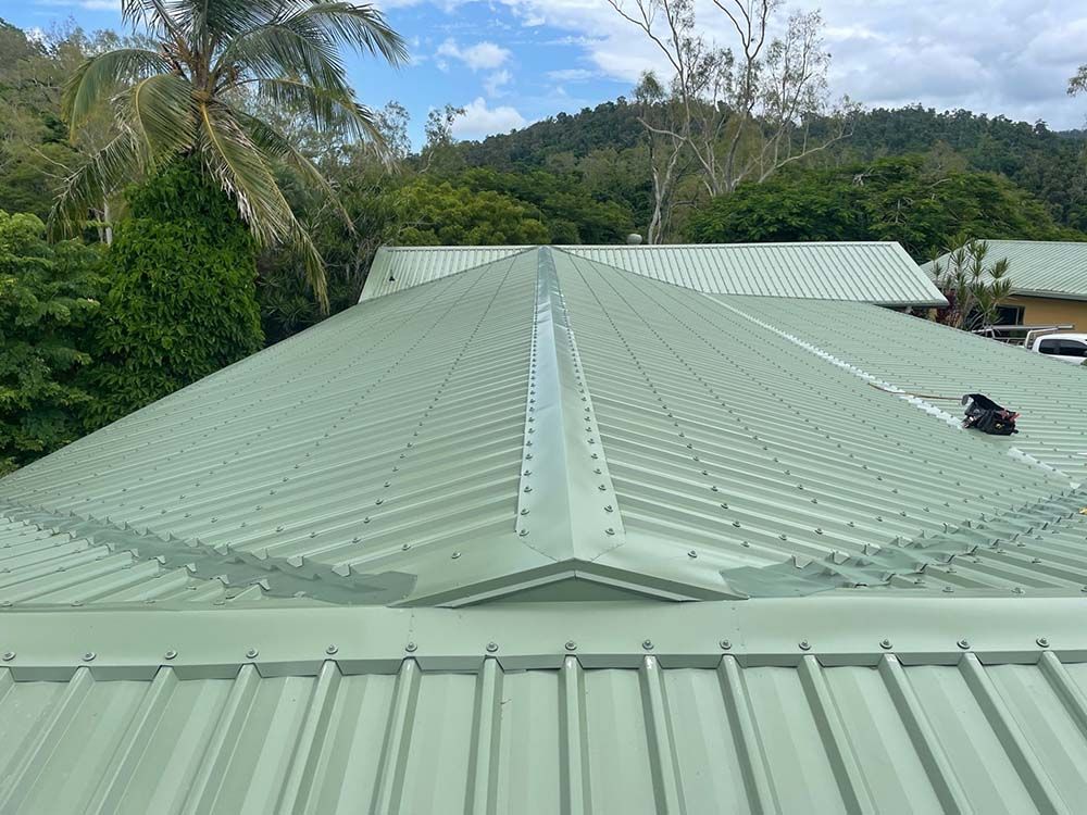 A Green Roof Of A House With Trees In The Background — Posty’s Roofing In Proserpine, QLD 