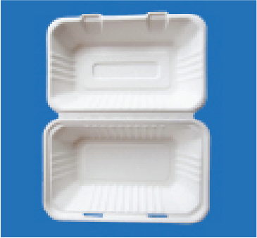 1-Compartment Bagasse