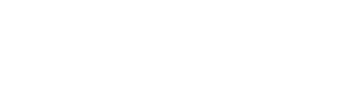 Tiny House Texas logo