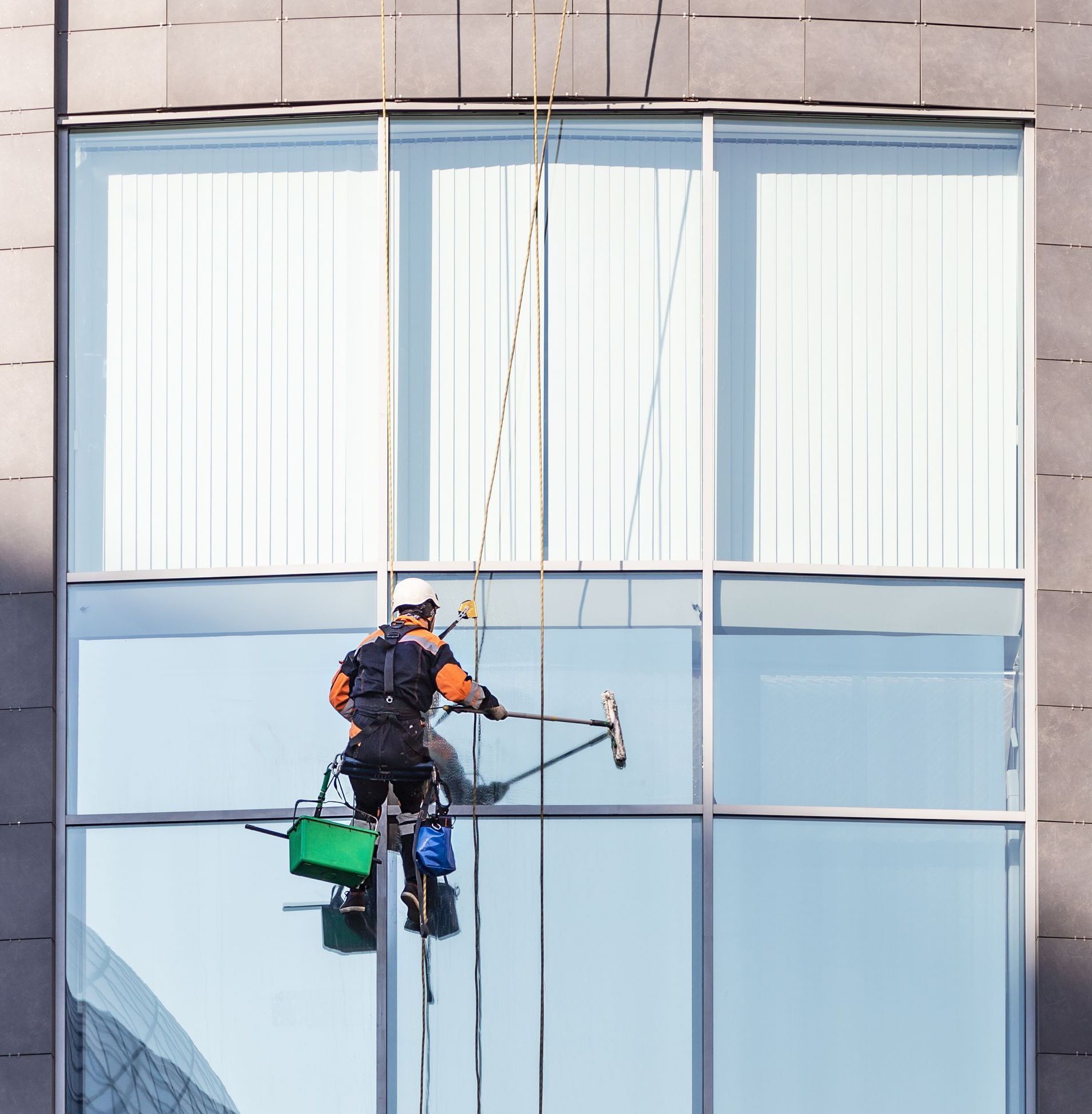 Window cleaner suspended on ropes, washing a large glass window on a skyscraper. He wears a safety harness, and a green bucket hangs nearby.