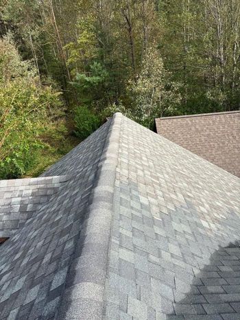 A close up of a roof with trees in the background.