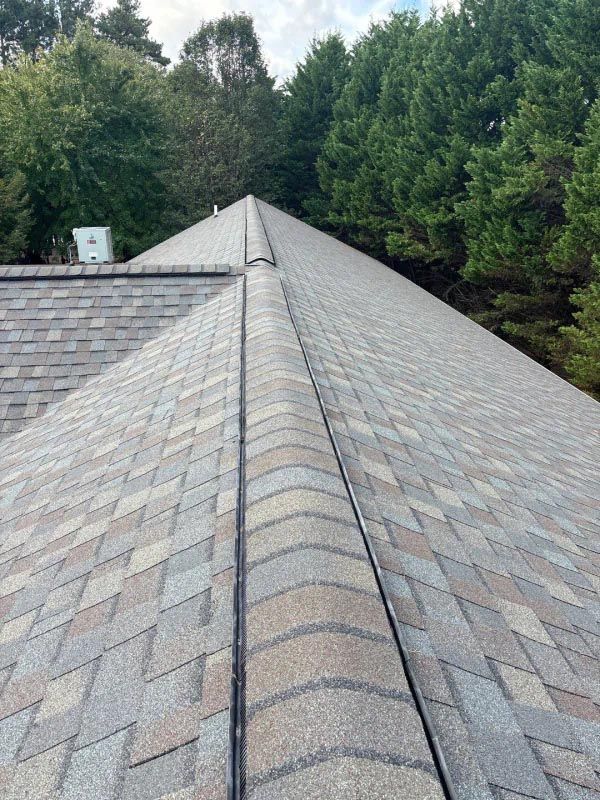 A close up of a roof with trees in the background.