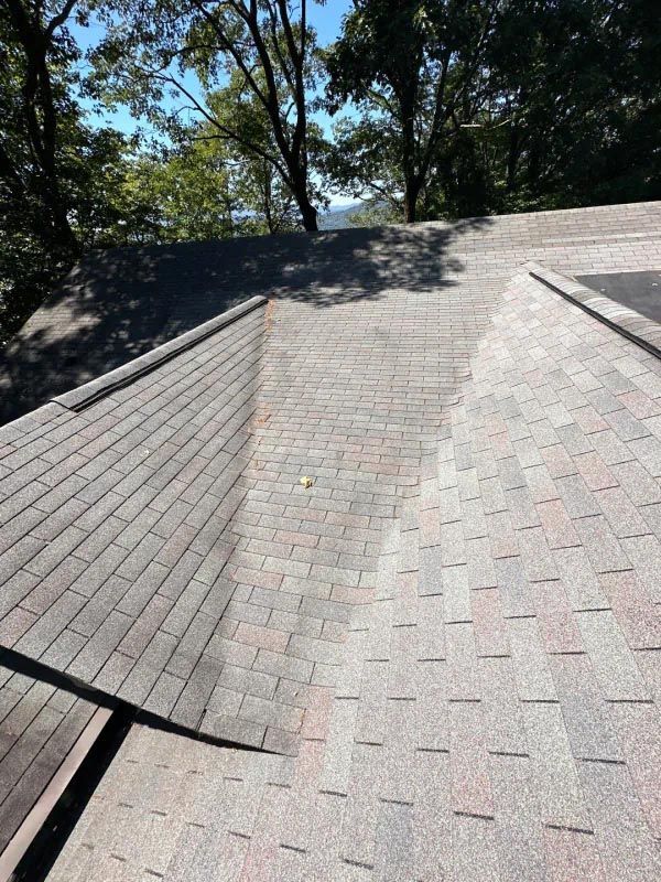 A close up of a roof with a tree in the background.