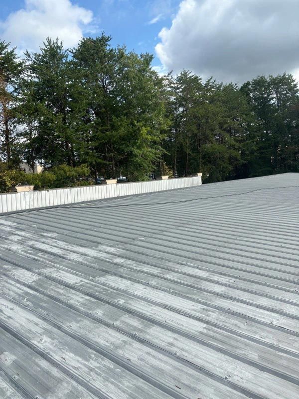 A metal roof with trees in the background on a sunny day.