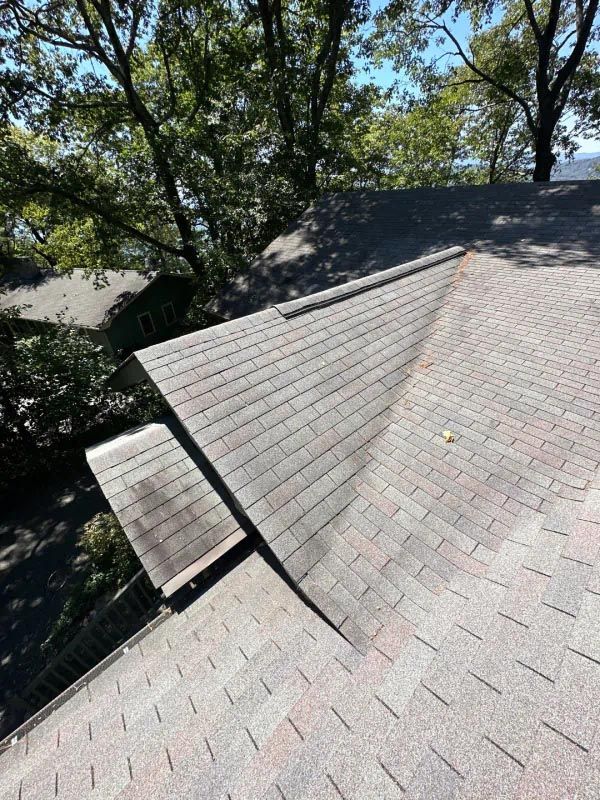 A close up of a roof with trees in the background.