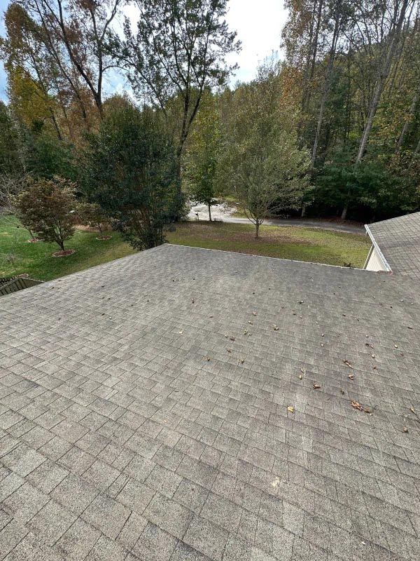 The roof of a house with a lot of trees in the background.